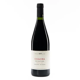 2007 Bodega Chacra Pinot Noir Rio Negro Treinta y Dos - 75cl